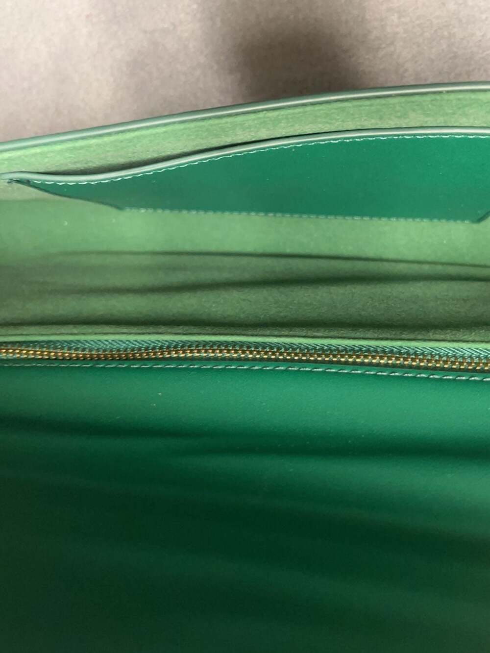 Green Faux Snakeskin Crossbody Bag with Gold Tone Hardware - Picture 3 of 6